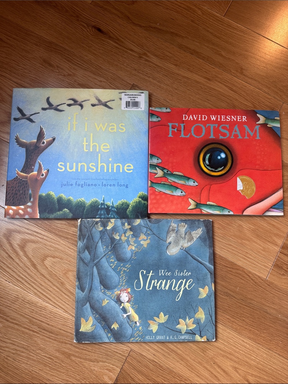 Set of 3 Illustrated Children’s Picture Books